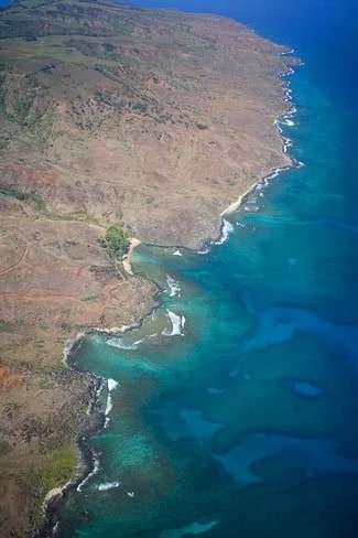 Reef on Molokai