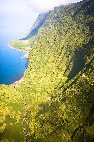 Highest sea cliffs in the world!  - Photo © Carl Amoth