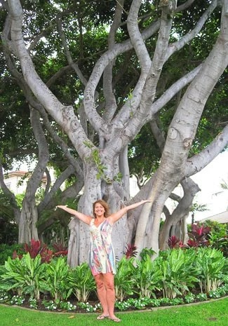 Joyful trees decorate the Marriott, joyful are we to enjoy them - Photo © Carl Amoth