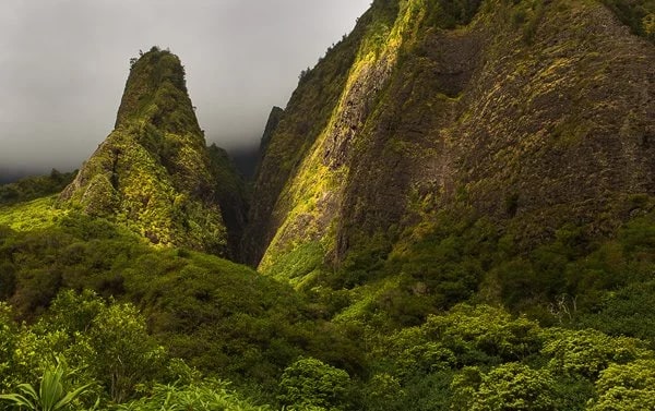 Kuka‘emoku ('Iao Needle) in 'Iao State Park, Maui. © Carl Amoth