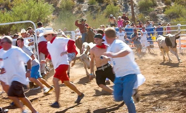 Running of the Bulls - Cave Creek, AZ