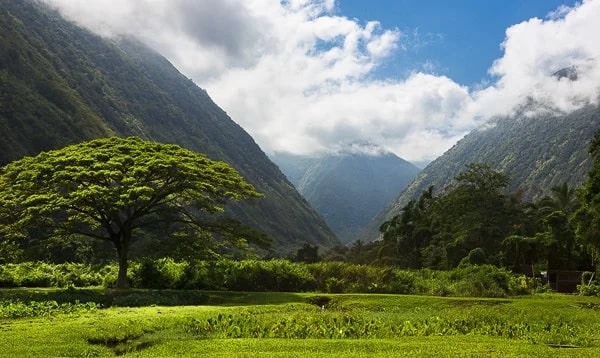 Waipiʻo Valley, Big Island, Hawaii. A sacred place for Hawaiians, it was also the capital and permanent residence of many early Hawaiian Kings. © Carl Amoth