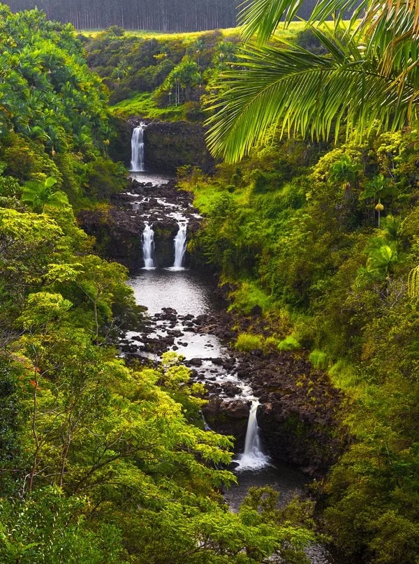 Umauma Falls, Big Island, Hawaii. © Carl Amoth