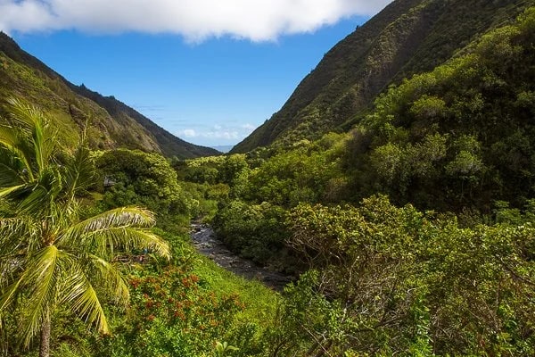 'Iao Valley, 'Iao State Park © Carl Amoth
