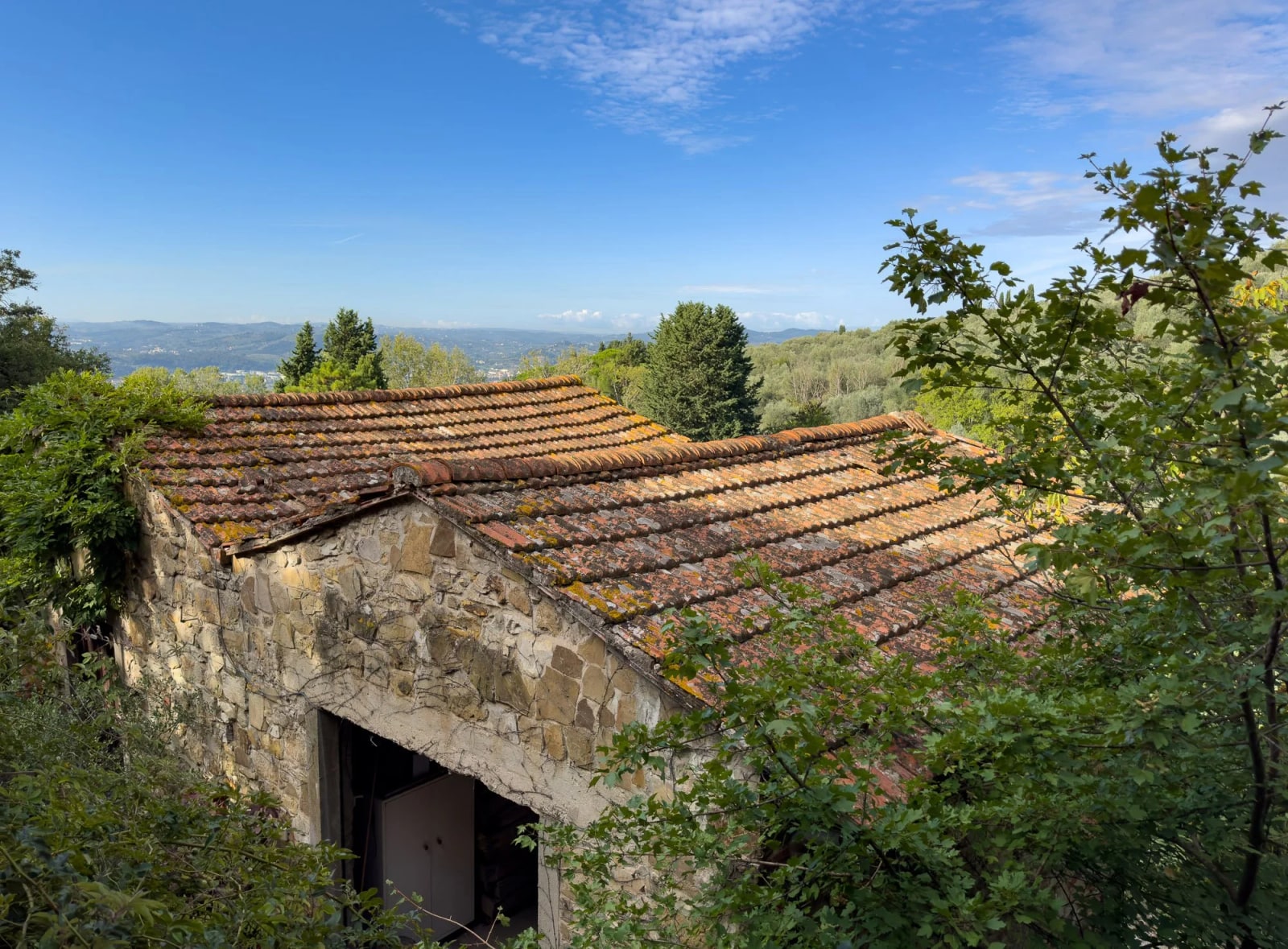 View of the olive pressing building from one of the villa's windows
