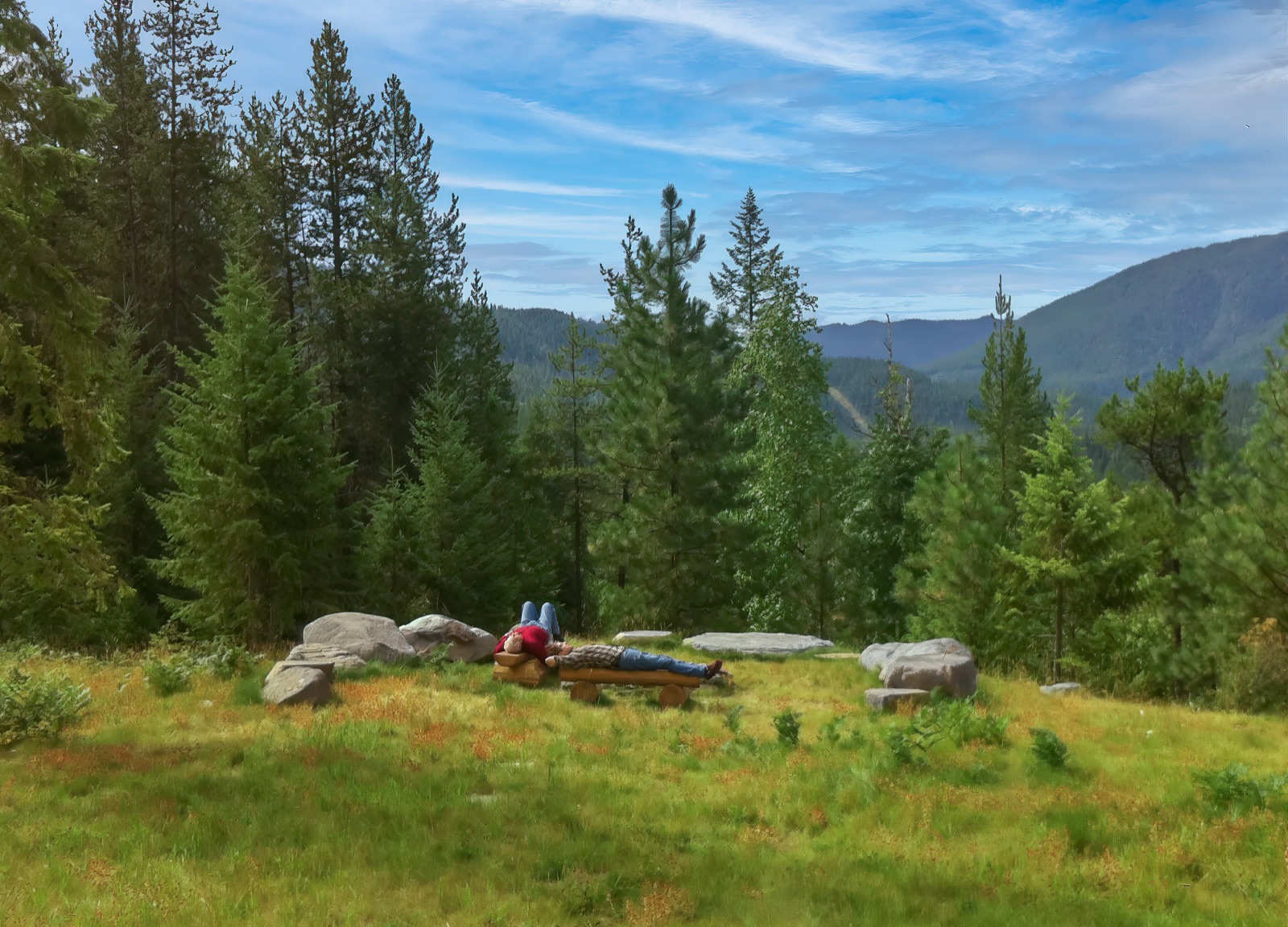 A mountain meadow in summer, with people gathered at a fire ring below the pines